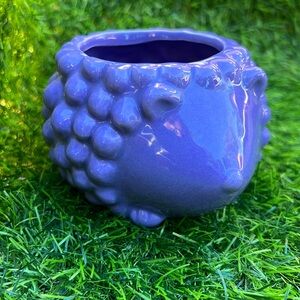 Hedgehog Succulent Planter Cute NWOT Chive